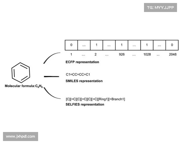石中盐提取技术的十大关键步骤及其工艺优化与应用分析