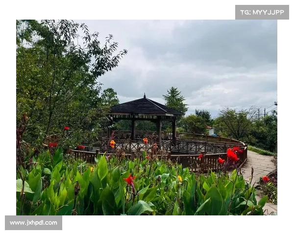 在永歌森林中聆听自然之声感受绿意盎然的生命乐章