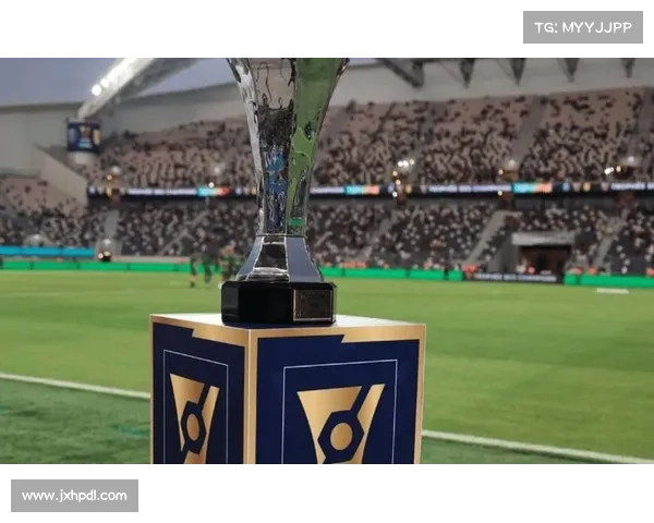 巴黎圣日耳曼力克里昂夺得法国杯冠军成功捧起奖杯 巴黎圣日耳曼力克里昂夺得法国杯冠军成功捧起奖杯