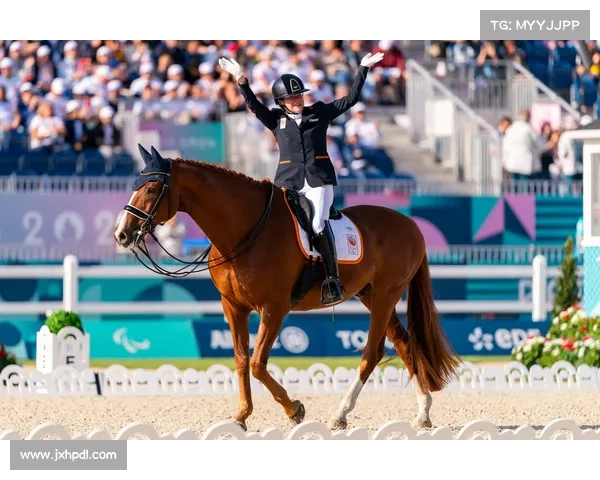 探索上海马术竞技背后的故事与幕后揭秘，感受赛事背后的热血与智慧
